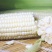 牛奶水果玉新鲜玉米即食甜玉米代餐即食玉米免煮