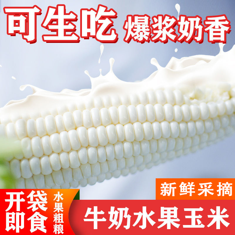 牛奶水果玉新鲜玉米即食甜玉米代餐即食玉米免煮