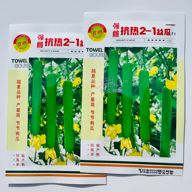 强雌抗热2-1丝瓜种子早春越夏抗热品种节节有瓜反头快露地