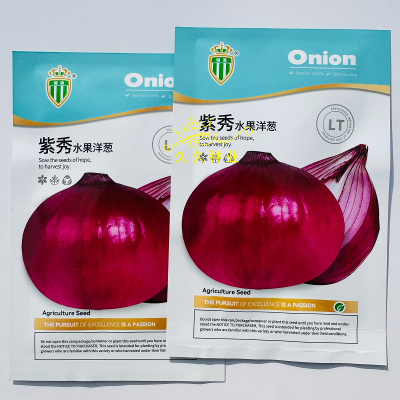 璐通紫秀水果洋葱种子甜脆微辣水分足中熟品种紫色洋葱种籽