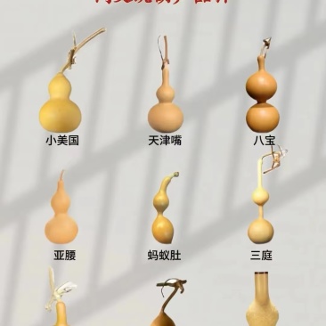 山东聊城东昌府工艺葫芦批发厂