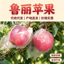 烟台鲁丽苹果脆甜多汁膜袋纸袋大量批发代发