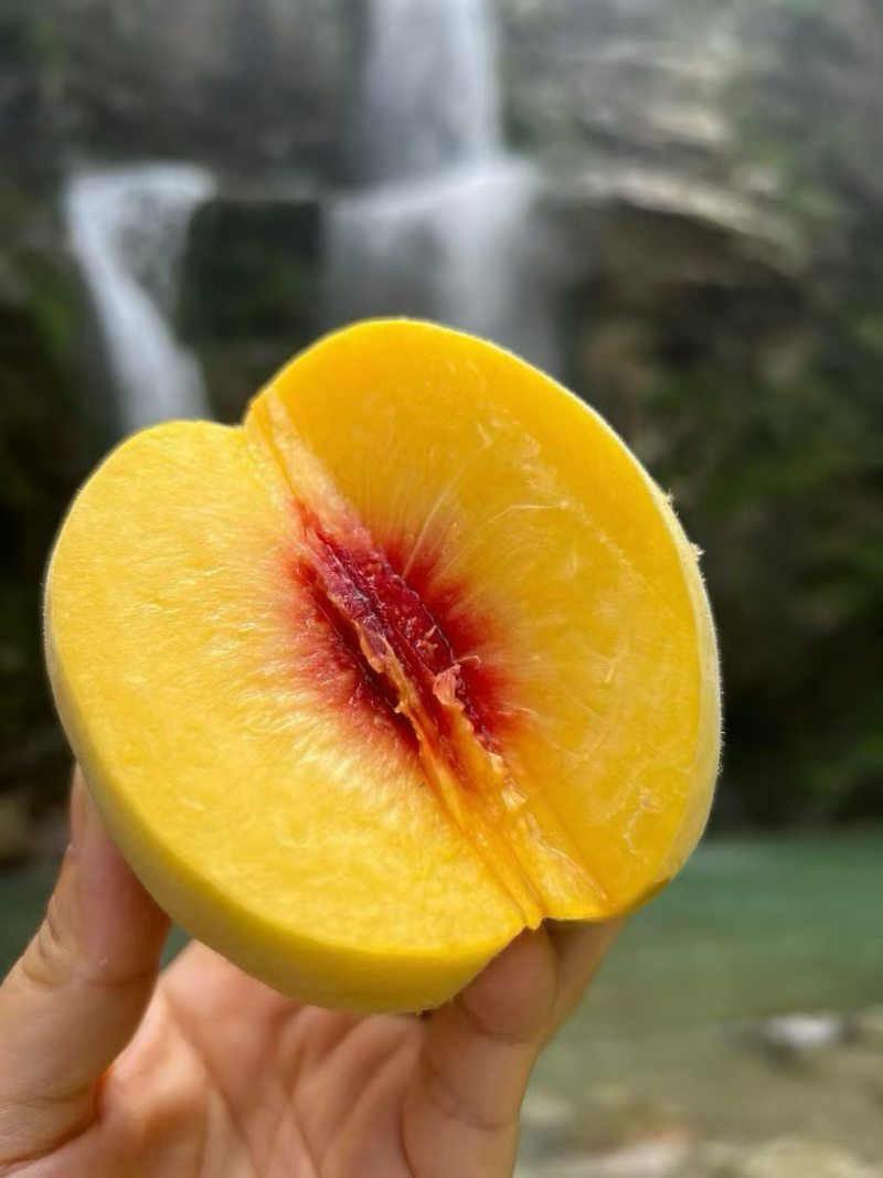 黄桃