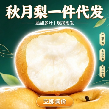 秋月梨产地货源电商一件代发礼盒整车均可供货