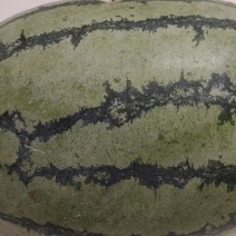 硒砂瓜