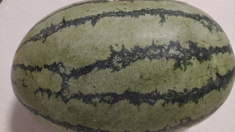 硒砂瓜