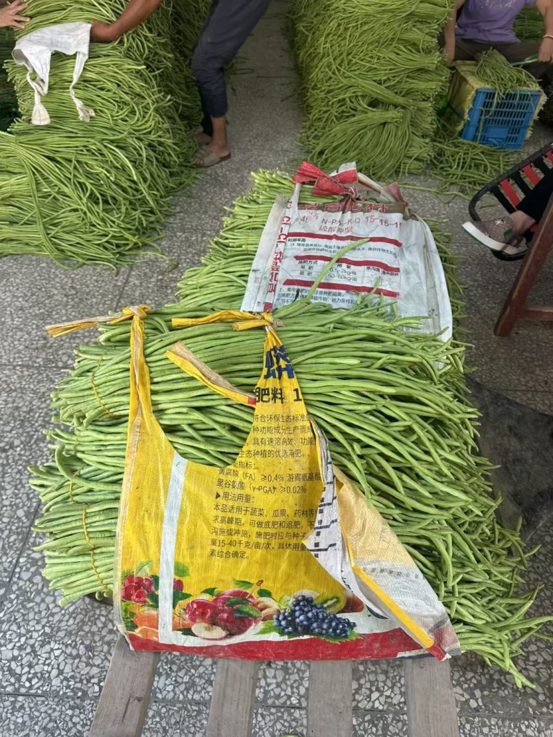 【干煸豇豆】