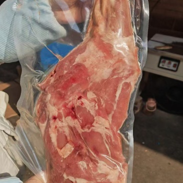 羔羊前腿