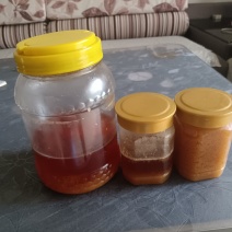 土蜂蜜