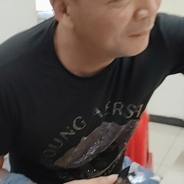 高粱