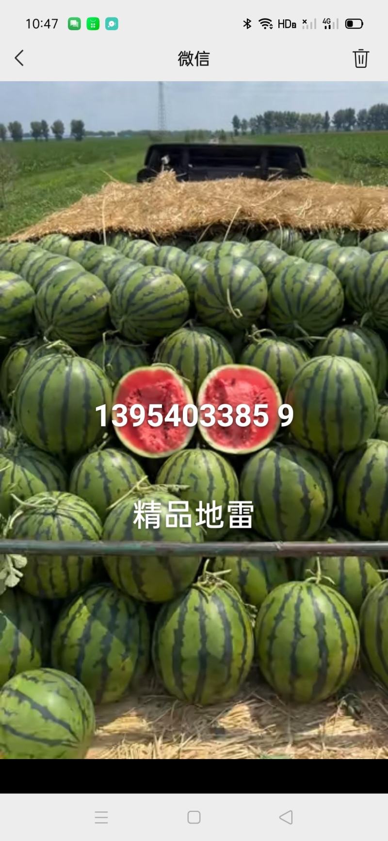 西瓜