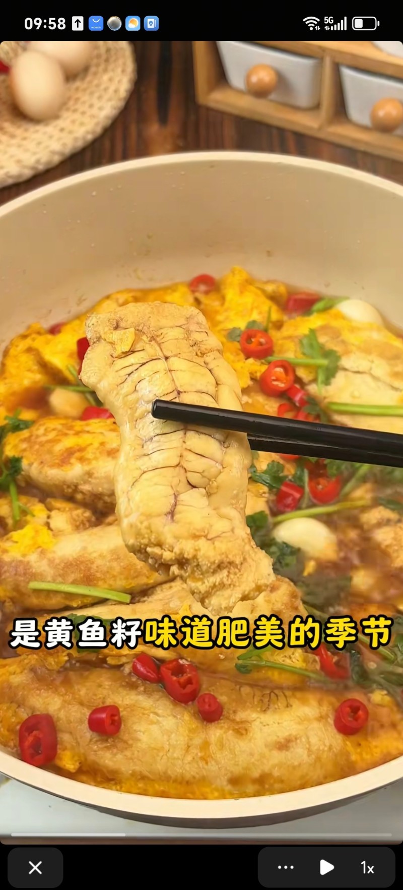 鱼籽鱼泡