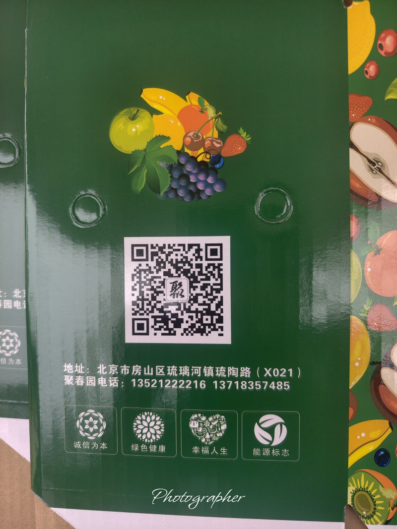 北京房山区黄冠梨自然成熟