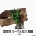 四季开花杜鹃花好养盆栽室内外阳台循环开花杜鹃花