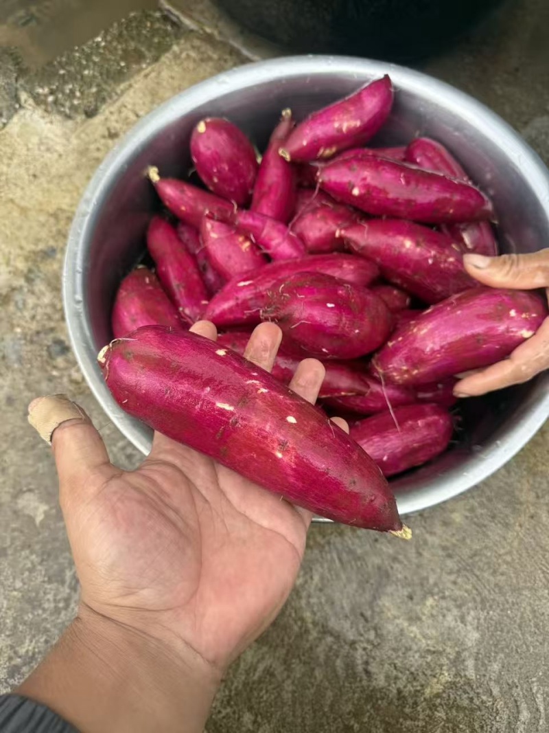 榴莲蜜薯