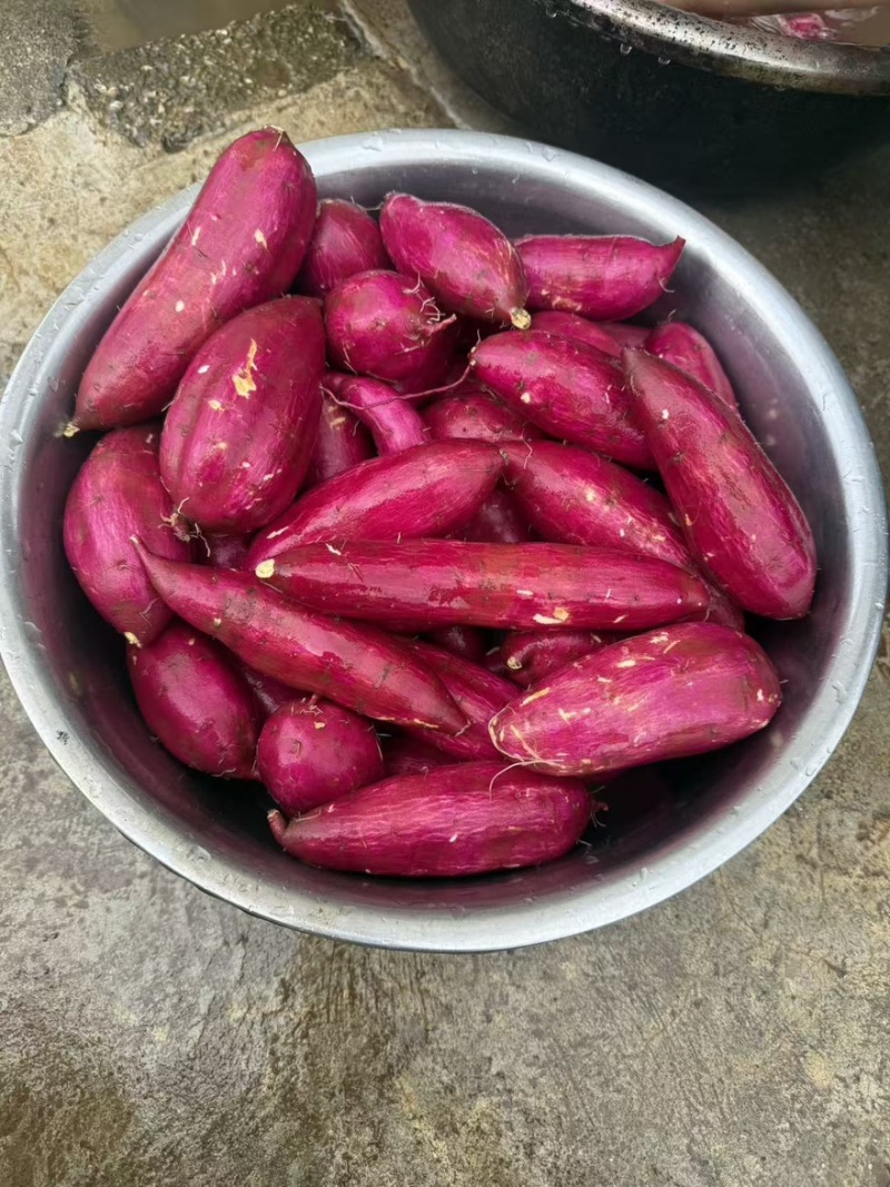 榴莲蜜薯