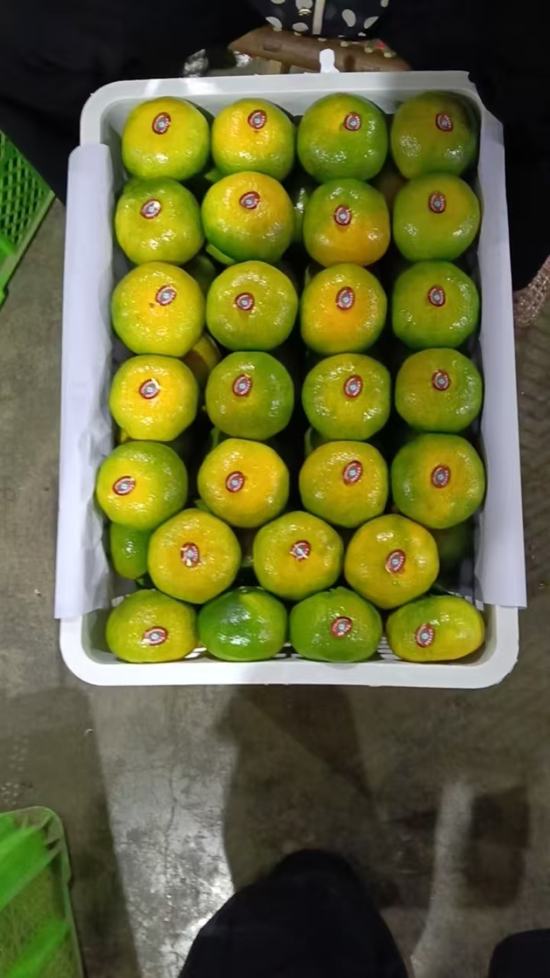 蜜桔