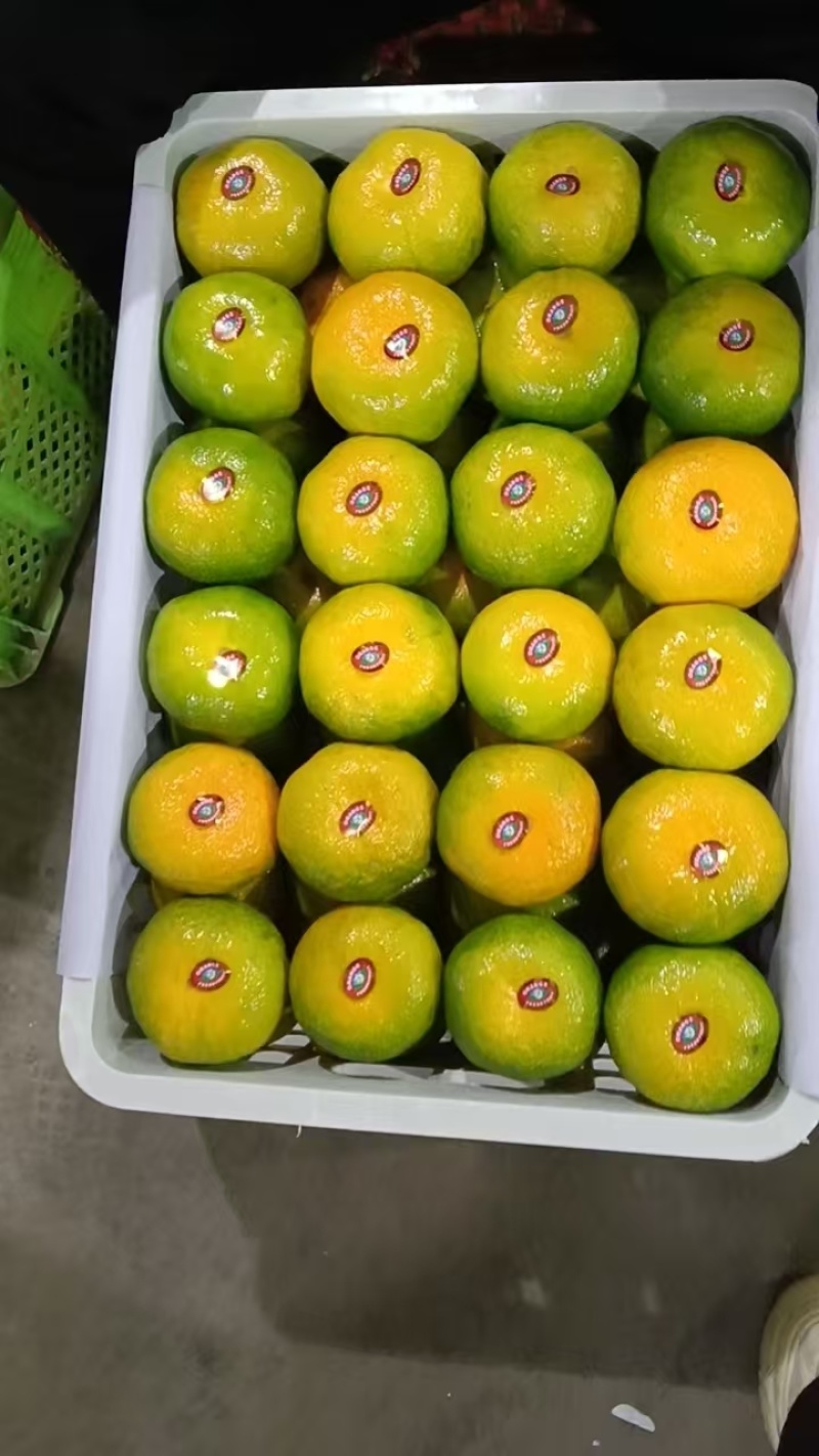 蜜桔