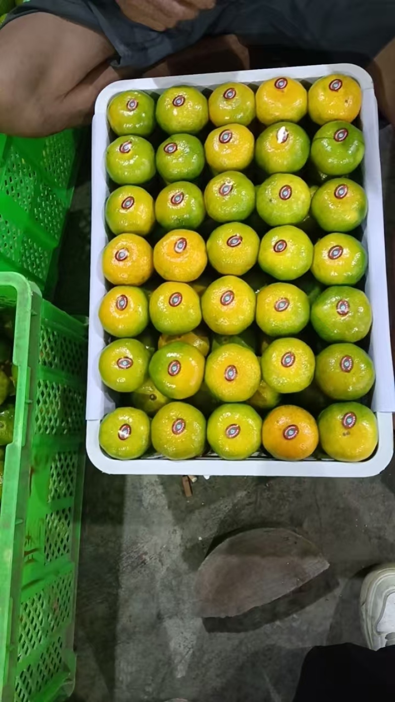 蜜桔