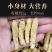 加拿大西洋参整根花旗参特大老参软枝可代切片磨粉煲汤泡水
