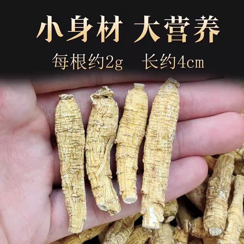 加拿大西洋参整根花旗参特大老参软枝可代切片磨粉煲汤泡水
