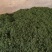 新鲜花椒
