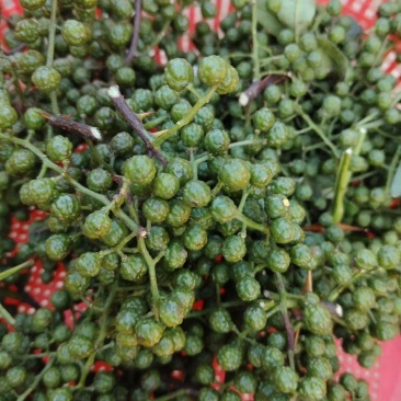 新鲜青花椒
