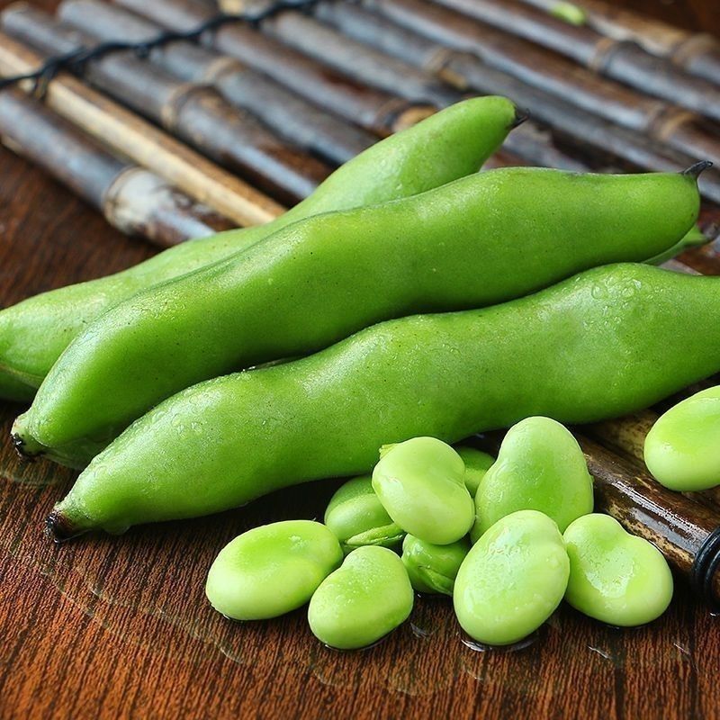 蚕豆现摘新鲜蚕豆带壳自种鲜嫩胡豆罗汉豆兰花应季农家蔬菜鲜