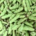 蚕豆现摘新鲜蚕豆带壳自种鲜嫩胡豆罗汉豆兰花应季农家蔬菜鲜
