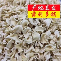 白玉木耳产地直销批发玉木耳干货小碗耳白木耳土特产白玉耳