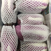紫白菜