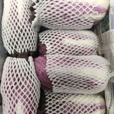 紫白菜