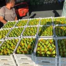 青皮无花果秋果上市