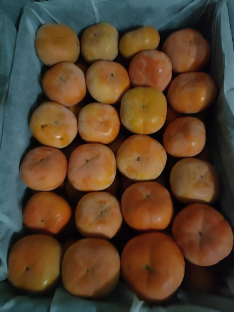 诚信经营，七月黄，火葫芦，吊红，代发全国，分拣，包装