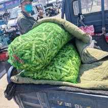 各种蔬菜