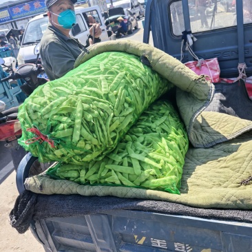 各种蔬菜