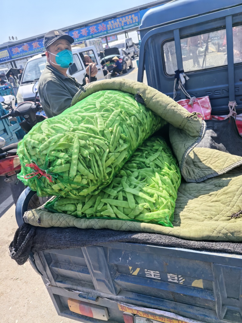 各种蔬菜