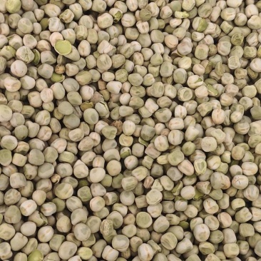 出售自家种绿豌豆8吨