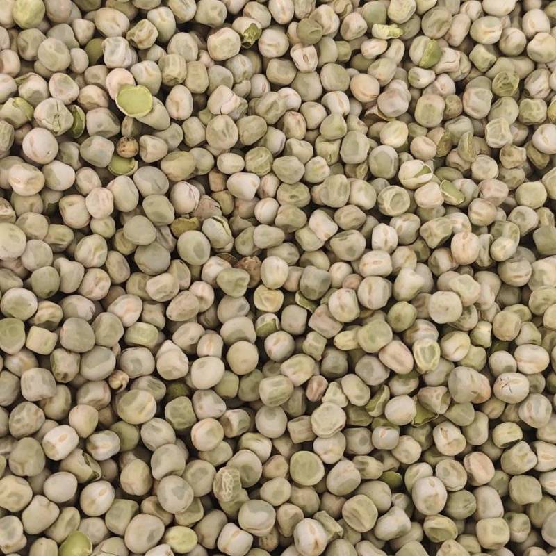 出售自家种绿豌豆8吨