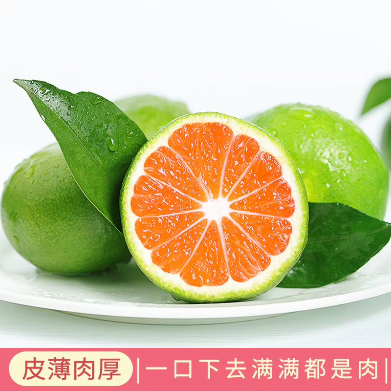 专业00后青皮蜜桔一件代发，代采
