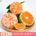 专业00后青皮蜜桔一件代发，代采