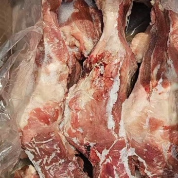 肥猪多肉双节后腿骨
