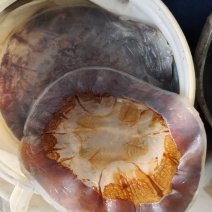 海蜇皮清脆爽口
