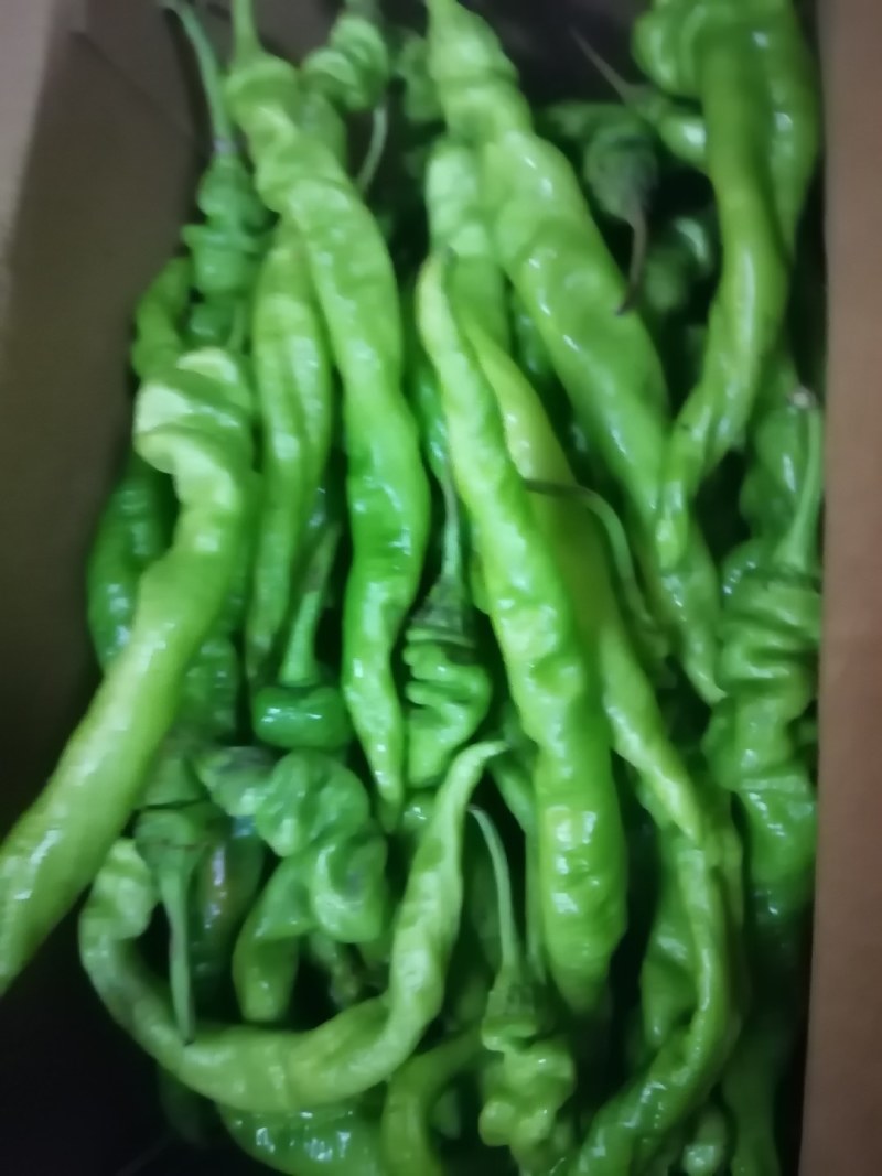 精品泡椒黄皮线椒货源充足个头大口感好泡椒线椒黑皮线椒二荆条