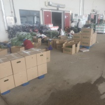 红菜苔鲜辣椒