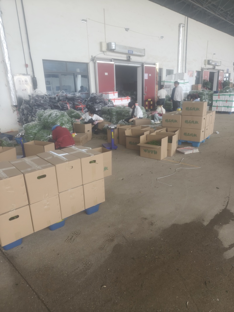红菜苔鲜辣椒