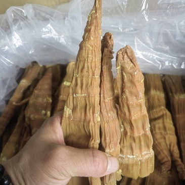 麻竹笋干，筒笋尾干，笋