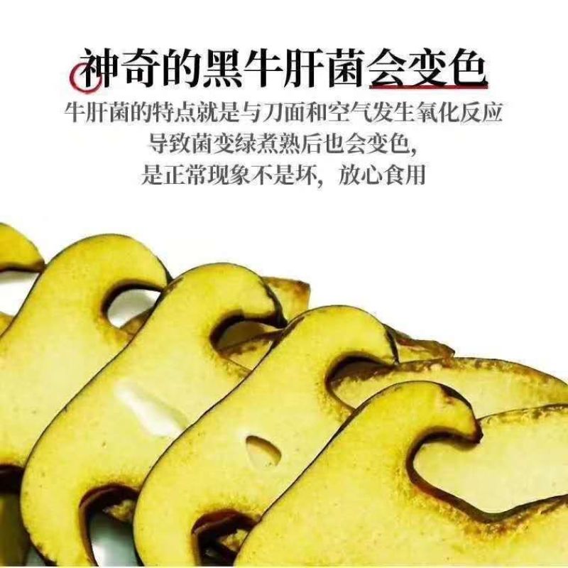 云南野生菌新鲜牛肝菌新鲜商用店家亲自采摘靓货新鲜野生菌鲜