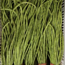 豆角