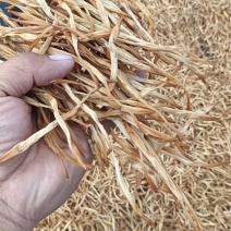 【好货推荐】新货二级祁东黄花菜线下有实体店全年供货